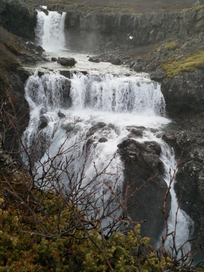 Aegisholt Privete House With Hot Tub Lejlighed Patreksfjordur Eksteriør billede