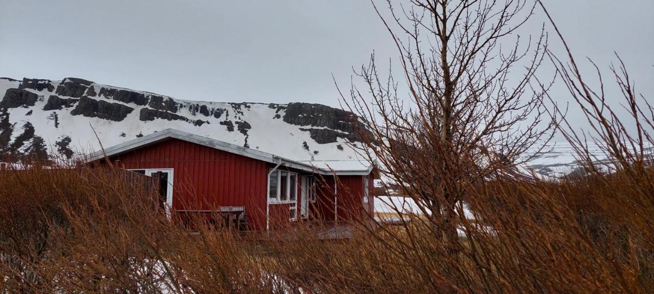 Aegisholt Privete House With Hot Tub Lejlighed Patreksfjordur Eksteriør billede